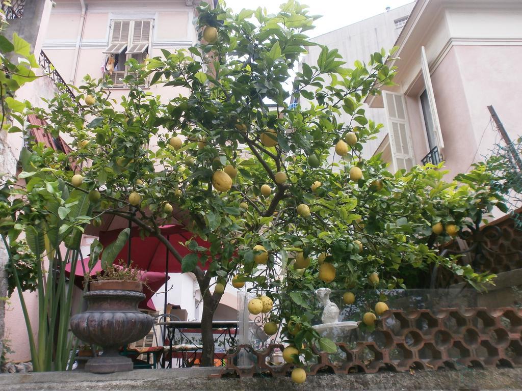Villa Saphir Nice Exterior foto
